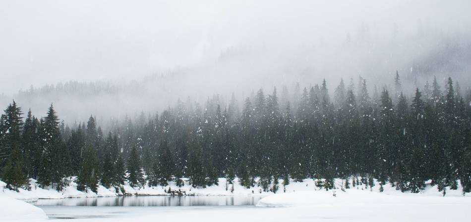 Winterlandschaft mit Tannenwald und kleinem See im Vordergrund